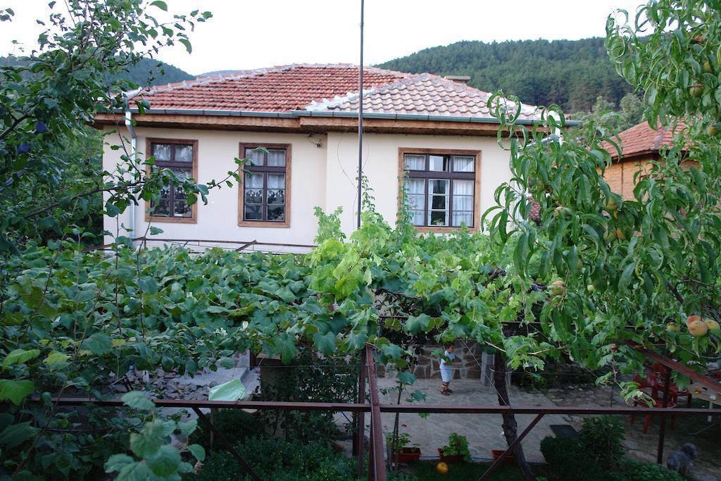 The House In Shipka Villa Rum bild